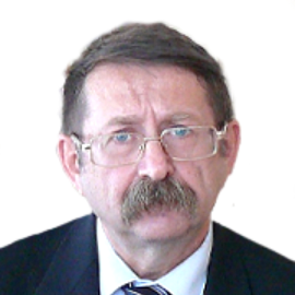 Баяндин Николай Иванович Баяндин Николай Иванович